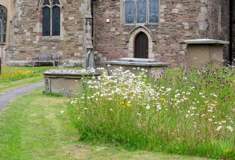 Featured image for “Churches launch nature count to assess biodiversity within “National Park” of churchyards”