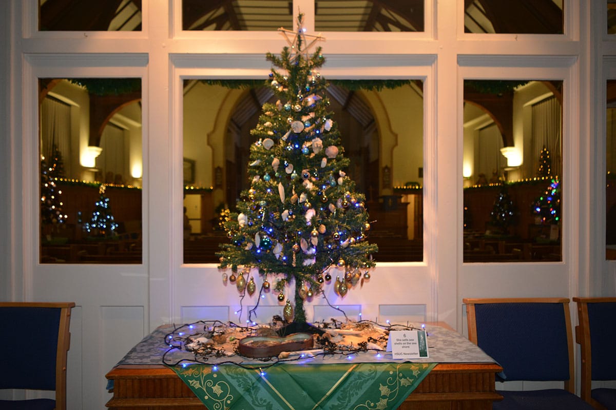 Featured image for “Christmas Tree Festival: Our Natural World – Hutton and Shenfield Union Church”