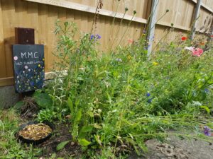 Image: Wildflower area at Mortimer Methodist Church