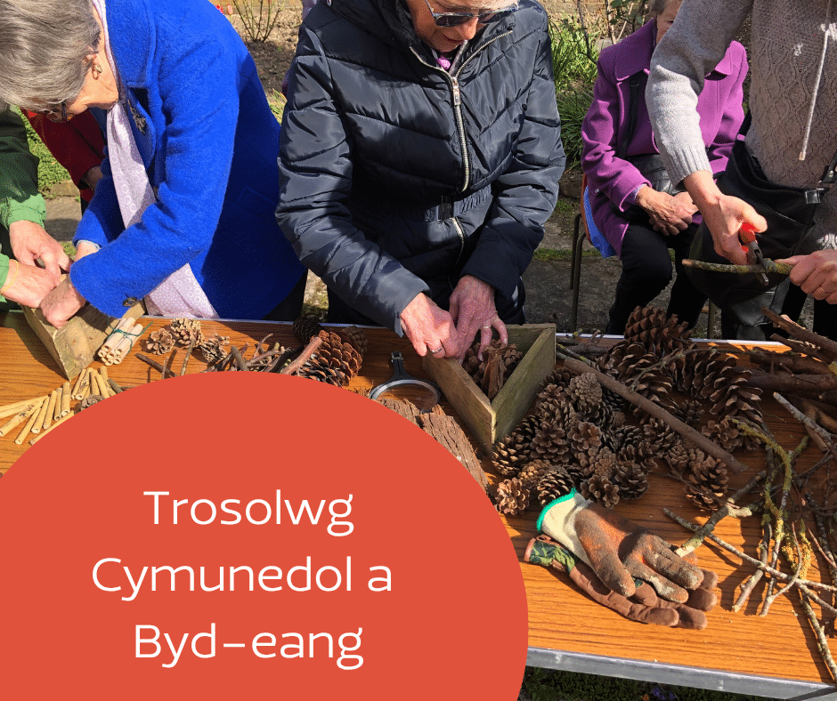 Trosolwg Cymunedol a Byd-eang (Community and global engagement in Welsh).