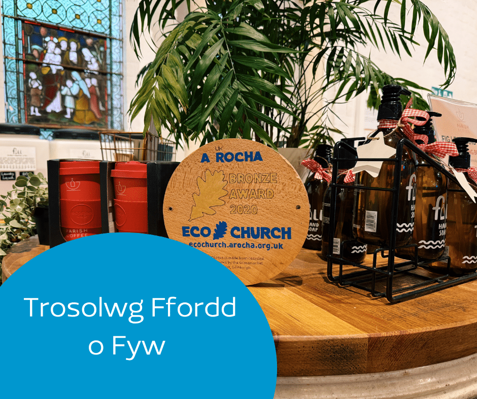 Trosolwg Ffordd o Fyw (Lifestyle overview in Welsh).