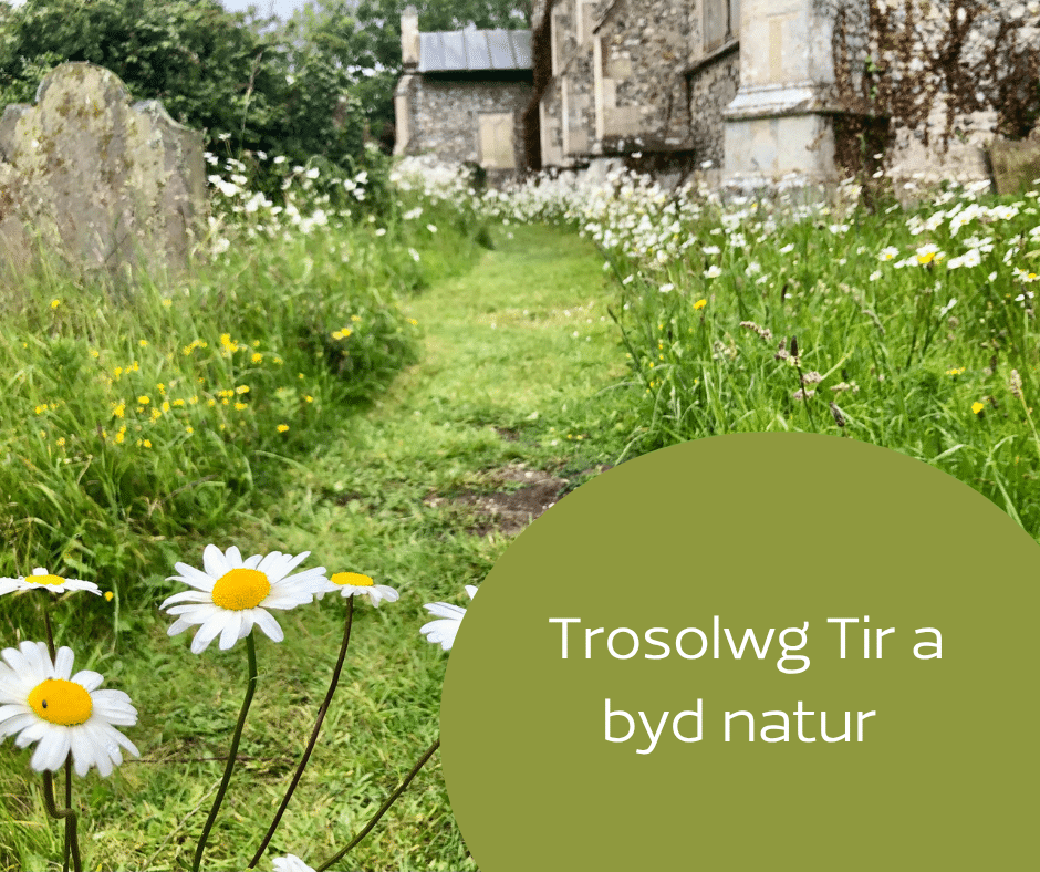 Trosolwg Tir a byd natur (Land and nature overview in Welsh).